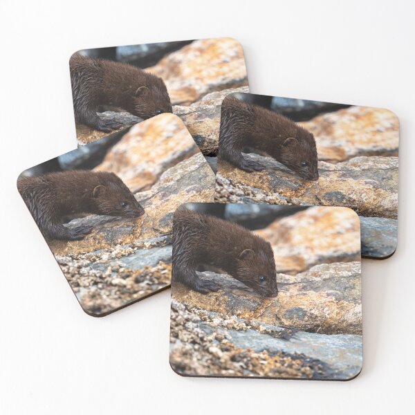 Item preview, Tracking Breakfast designed and sold by Greg Birkett.