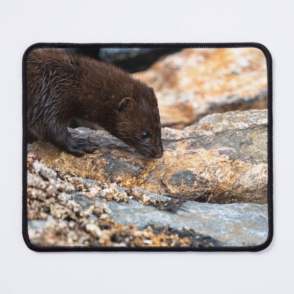Item preview, Tracking Breakfast designed and sold by Greg Birkett.