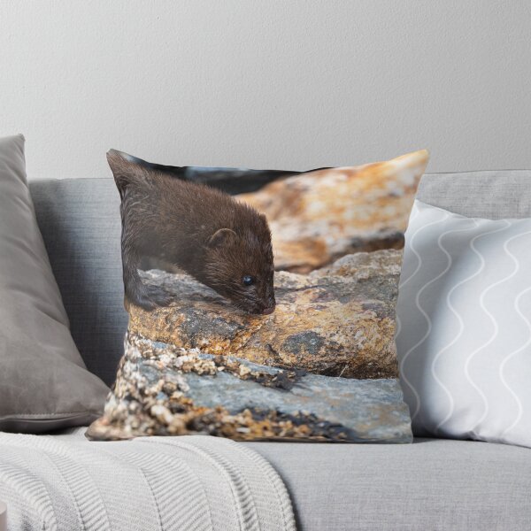 Item preview, Tracking Breakfast designed and sold by Greg Birkett.