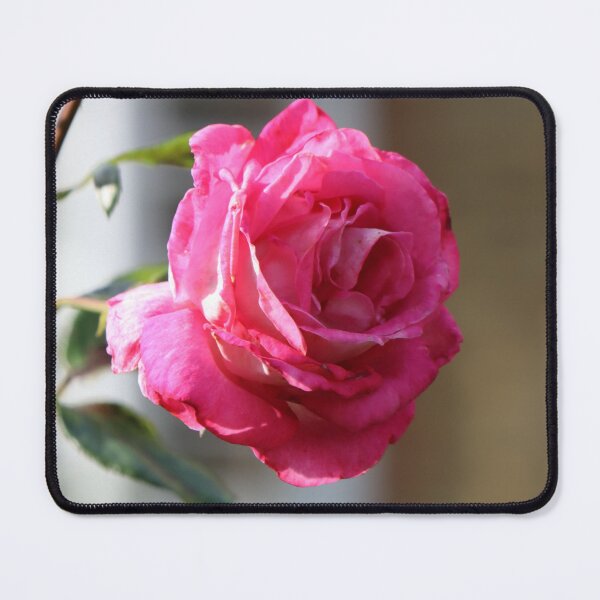 Artikelvorschau, Pinke Rose entworfen und verkauft von FallenTrickster.