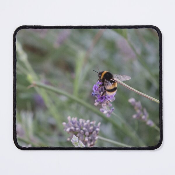 Artikelvorschau, Hummel auf Lavendel entworfen und verkauft von FallenTrickster.