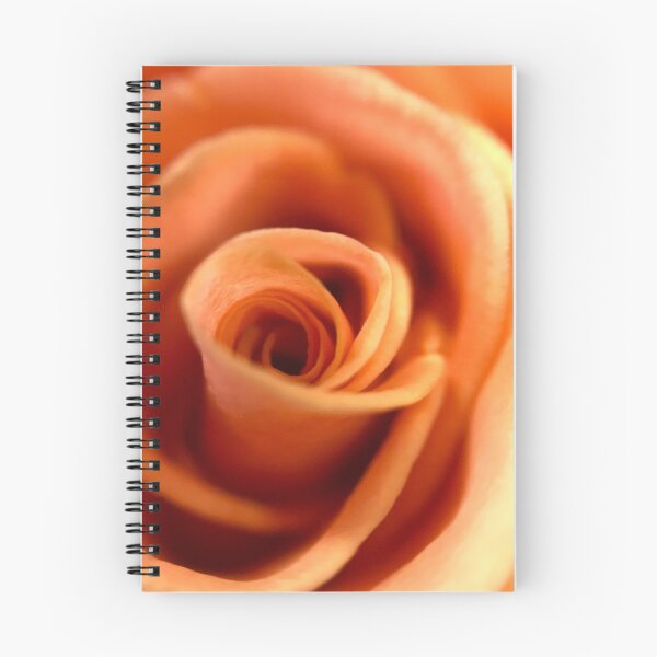 Item preview, Orange color rose  designed and sold by Chirayu1111.