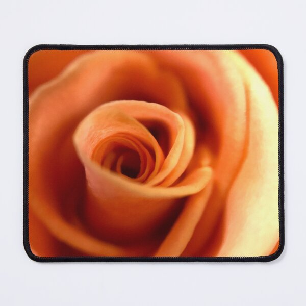 Item preview, Orange color rose  designed and sold by Chirayu1111.