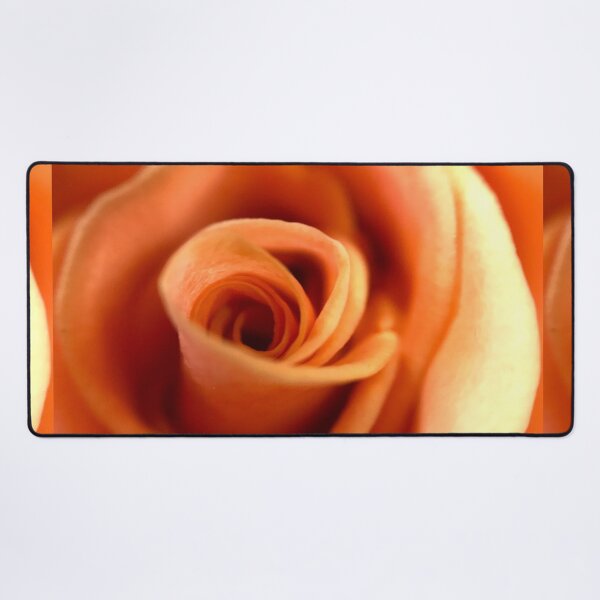 Item preview, Orange color rose  designed and sold by Chirayu1111.