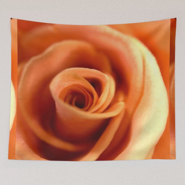 Item preview, Orange color rose  designed and sold by Chirayu1111.
