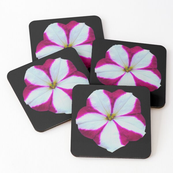 Item preview, Pink & White Petunia - black background designed and sold by Louise-Mae.
