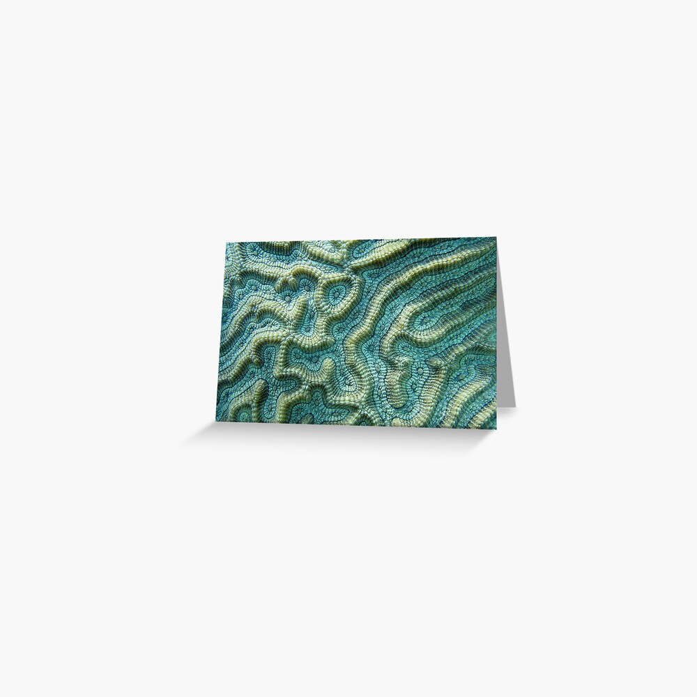 Platygyra Maze Greeting Card