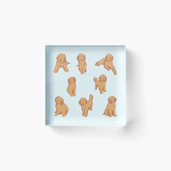 Item preview, Cute Golden doodle pack  designed and sold by Mayarart.