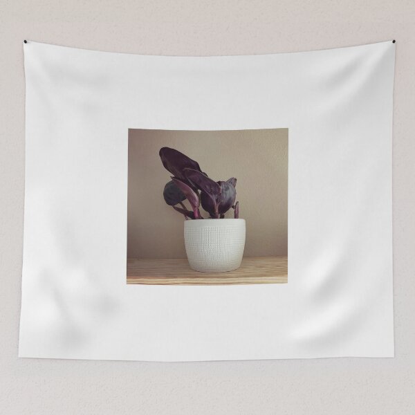 Item preview, Geogenanthus ciliatus  designed and sold by trenchbalence.