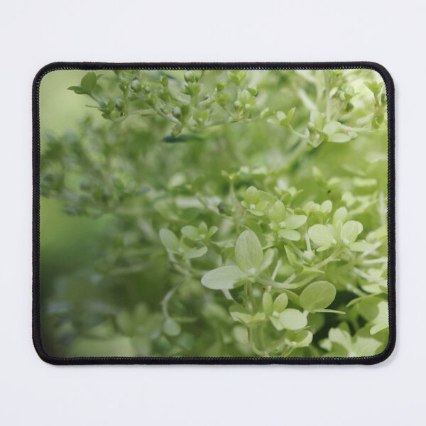 Item preview, Soft Hydrangea designed and sold by ASTRID EWING.