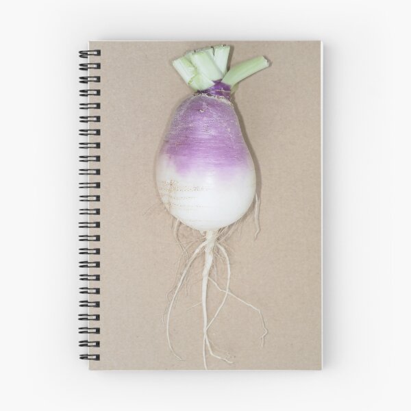 Item preview, Freshly harvested turnip (Brassica rapa subsp. rapa) taproot designed and sold by SDym Photography.