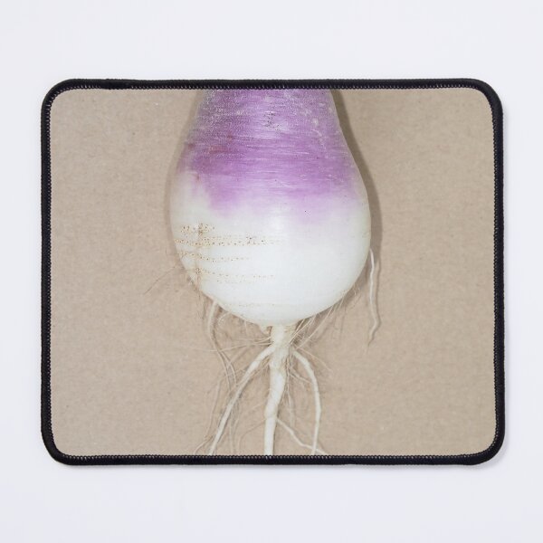 Item preview, Freshly harvested turnip (Brassica rapa subsp. rapa) taproot designed and sold by SDym Photography.