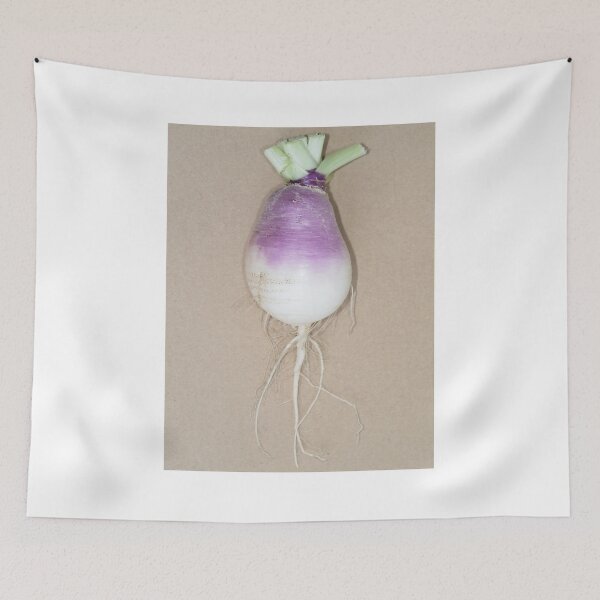 Item preview, Freshly harvested turnip (Brassica rapa subsp. rapa) taproot designed and sold by SDym Photography.