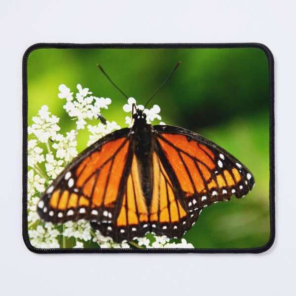 Item preview, Martindale Park designed and sold by RabbitHole13.