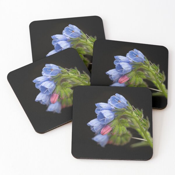Item preview, Blue flower black background designed and sold by TheNordicNature.