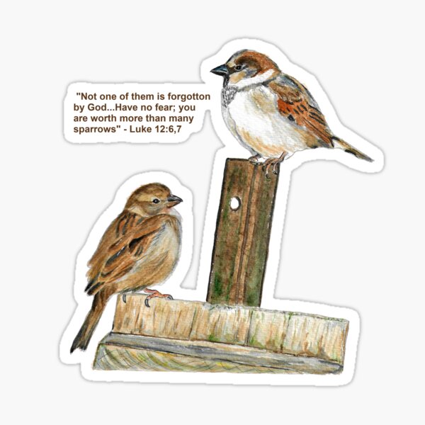 Item preview, Sparrows and Scripture "You are worth more" designed and sold by Sarah Addy.
