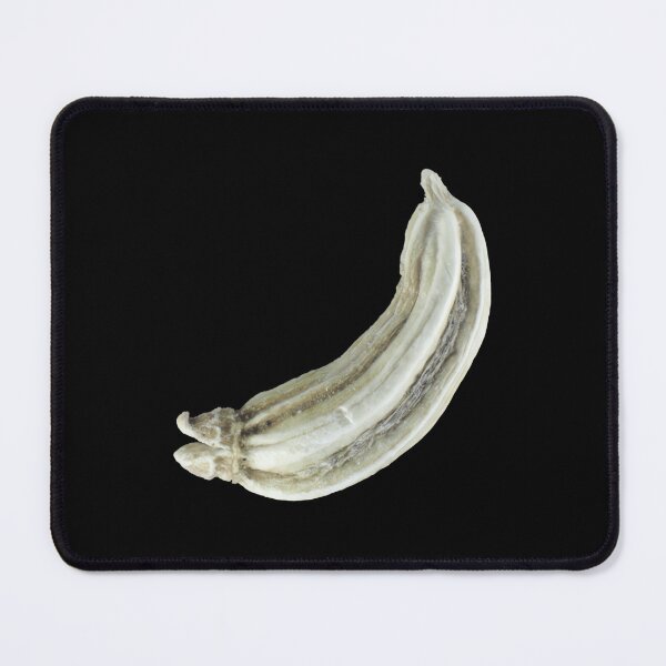 Item preview, Fennel seed under the microscope designed and sold by yghmqxfqohs79.