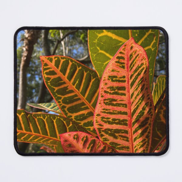 Item preview, Leaves of Fire designed and sold by EmmelineKlatt.