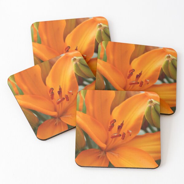 Item preview, Brilliant Orange Lily in Full Bloom designed and sold by Colourful Wonderful.