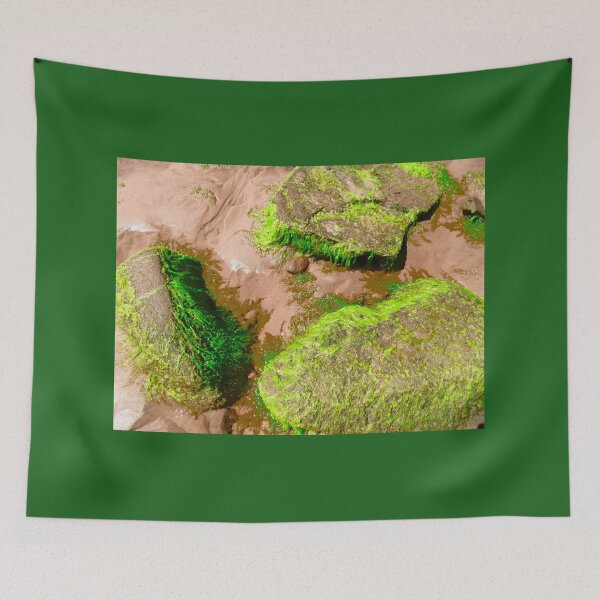 Item preview, Seaweed covered rocks designed and sold by Shulie1.