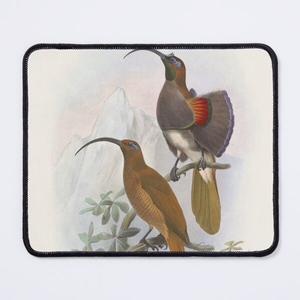 Item preview, Bird vintage illustration designed and sold by Lacasadellora.