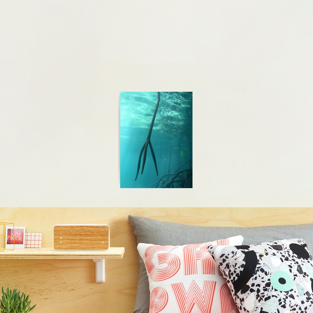 Trident Photographic Print