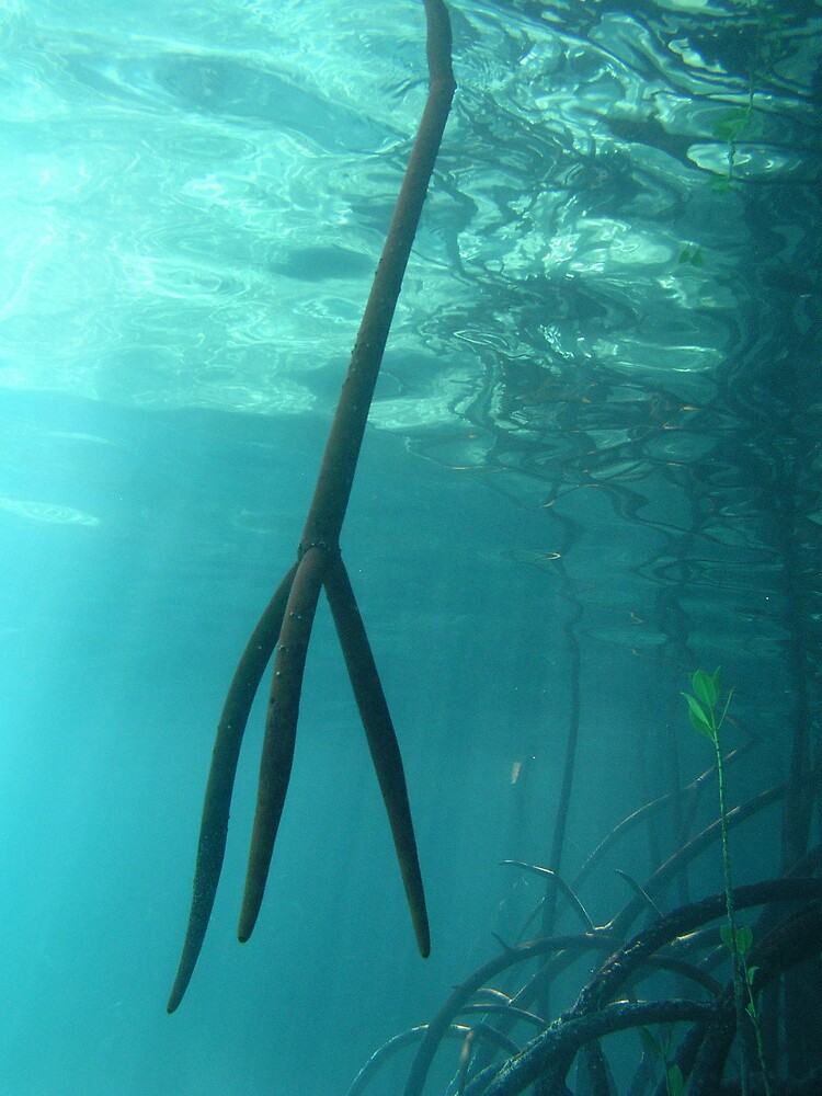Trident by neoniphon
