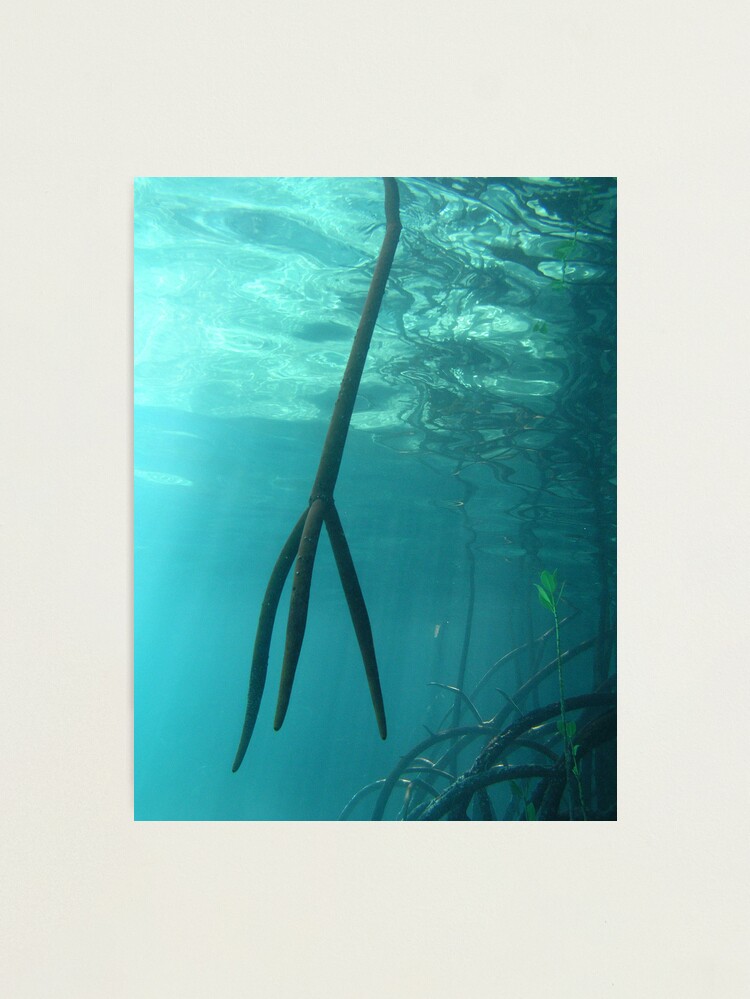 Alternate view of Trident Photographic Print