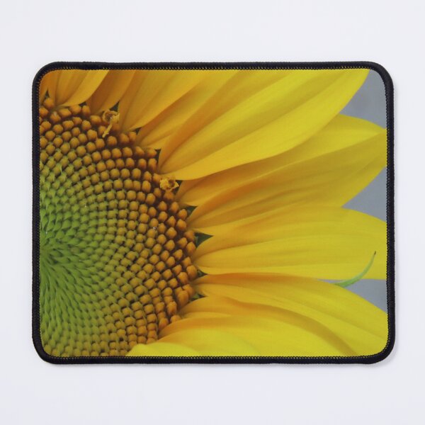 Item preview, Sunflower progressively opening up! designed and sold by Monica-Stroud.