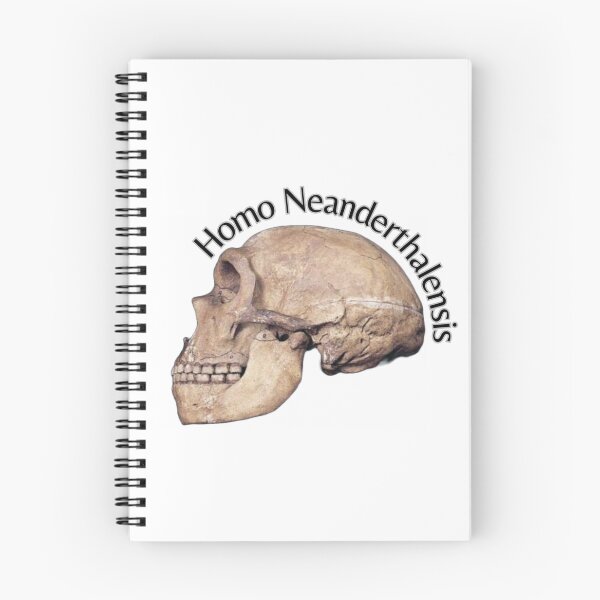 Item preview, Homo Neanderthalensis Skull designed and sold by liana campbell.