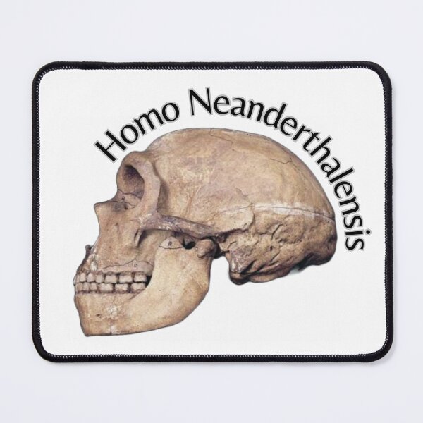 Item preview, Homo Neanderthalensis Skull designed and sold by liana campbell.