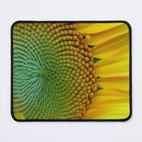 Item preview, Further Progression of Sunflower Opening designed and sold by Monica-Stroud.
