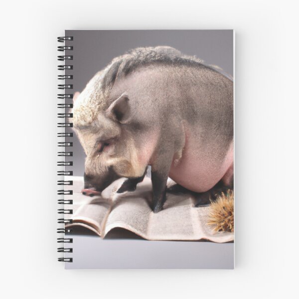 Item preview, Porkypine No. 3 Reading Newspaper designed and sold by Soup Du Jour.