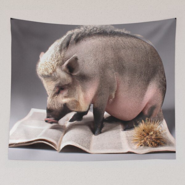 Item preview, Porkypine No. 3 Reading Newspaper designed and sold by Soup Du Jour.