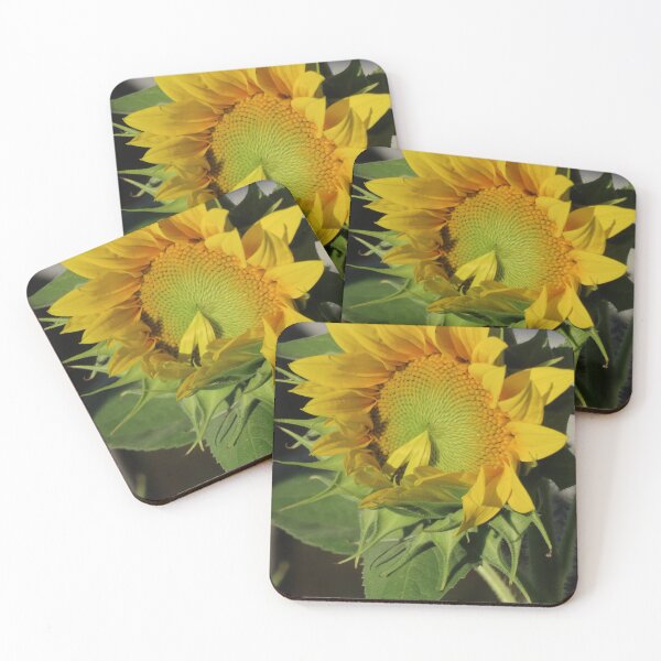 Item preview, Sunflower, Last Petal designed and sold by Monica-Stroud.