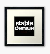 16229-03-BDK – Stable Genius – Icelandic (White) Framed Print