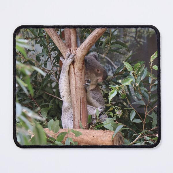 Item preview, Koala designed and sold by FallenTrickster.