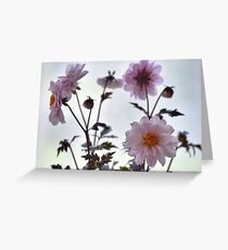Flowers flowers Greeting Card