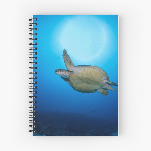 Item preview, Turtle and Sunburst designed and sold by Karen Willshaw.