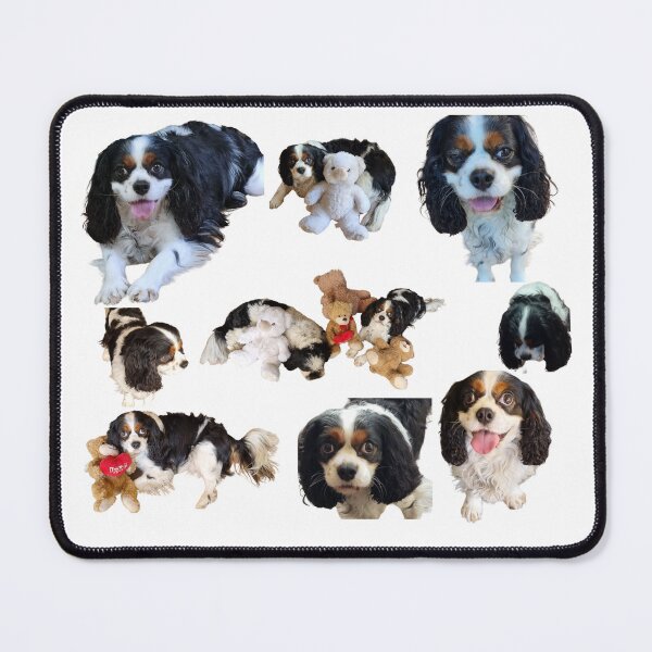 Item preview, Dogs and teddy bears relaxing together again.  designed and sold by Debsgiftware Ward.