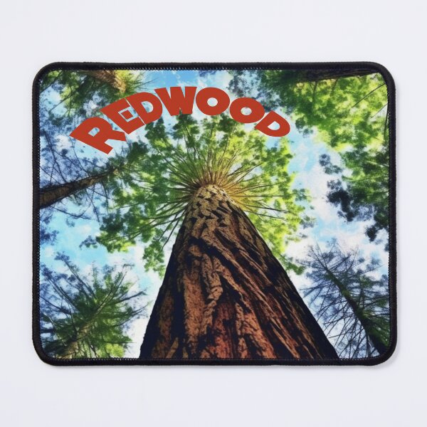 Item preview, Redwood Forest National Park Digital Illustration designed and sold by EVAWCollection.