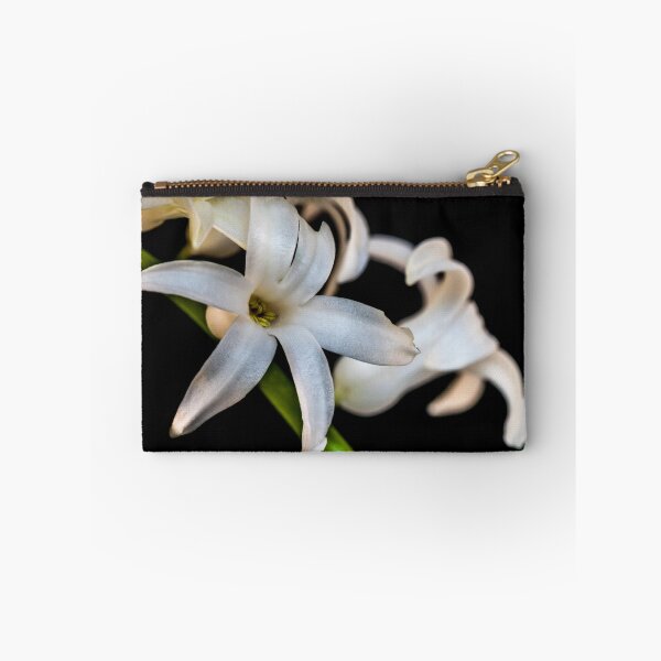 Item preview, White flower in a Kent garden designed and sold by Luke Farmer.