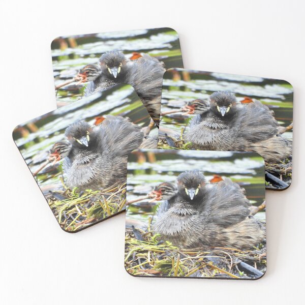 Item preview, Australasian  Grebe and young on crying out  designed and sold by Mark Grimsley.