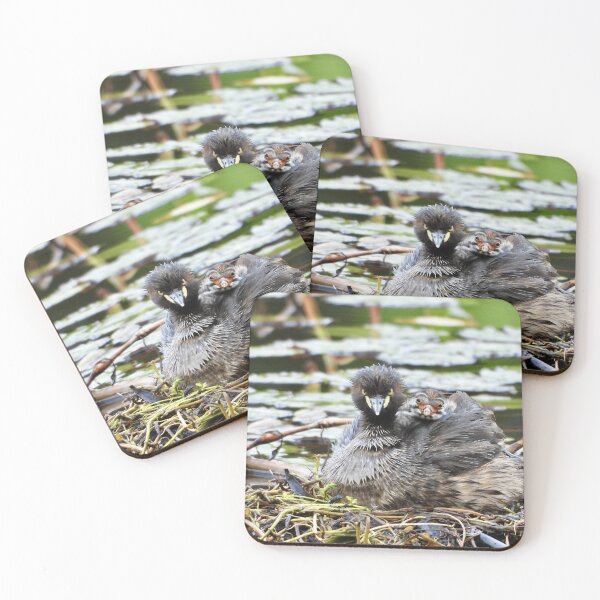 Item preview, Australasian Grebe and young one  designed and sold by Mark Grimsley.