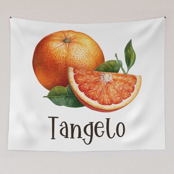 Item preview, Watercolor Illustration of Tangelo  designed and sold by Sketch-Shack.