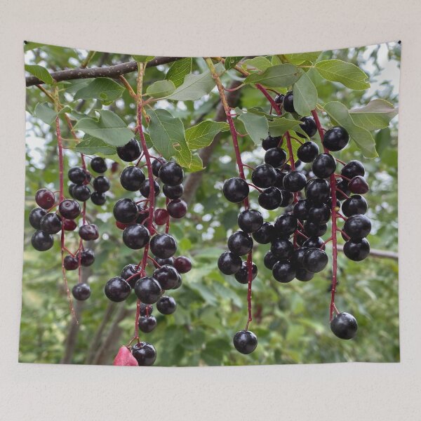 Item preview, Bitter Berries designed and sold by Image-Prints.