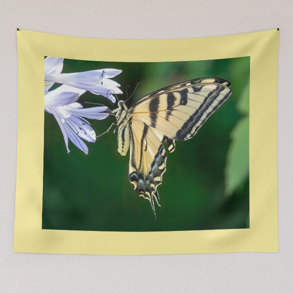 Item preview, Swallowtail Butterfly designed and sold by CarolM.