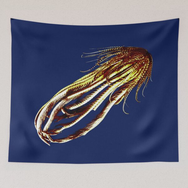 Item preview, Antarctic Feather Starfish  designed and sold by ontological.