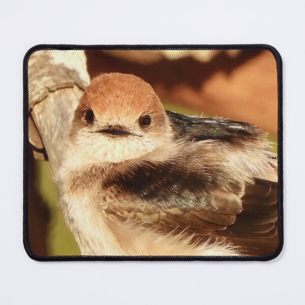 Item preview, strange look from a Fairy Martin designed and sold by Mark Grimsley.