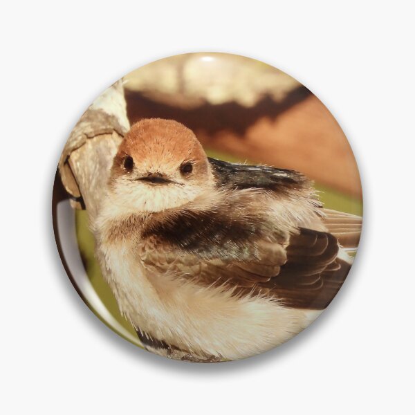 Item preview, strange look from a Fairy Martin  designed and sold by Mark Grimsley.
